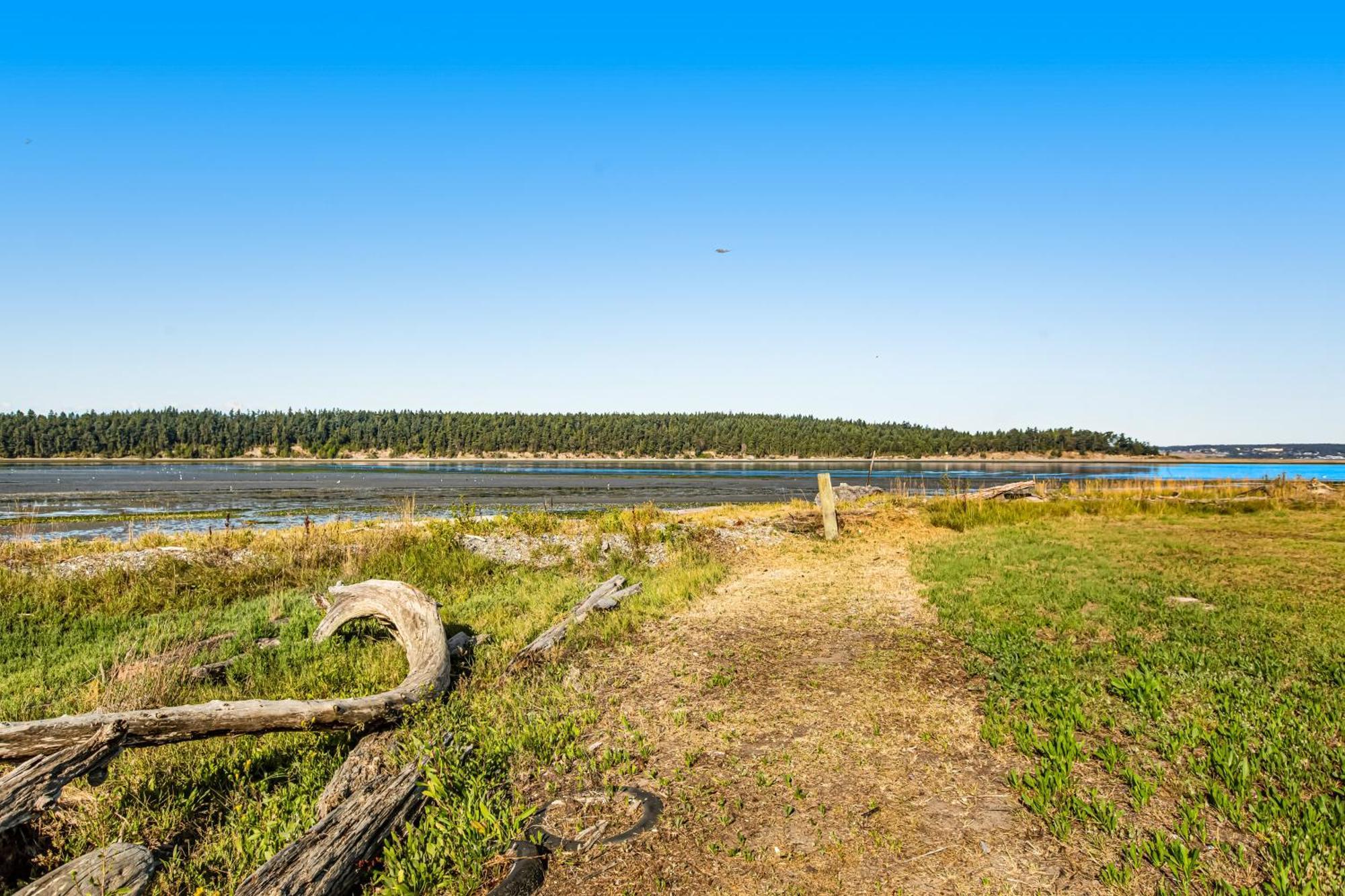 Marrowstone Island Beach Cabin Екстер'єр фото
