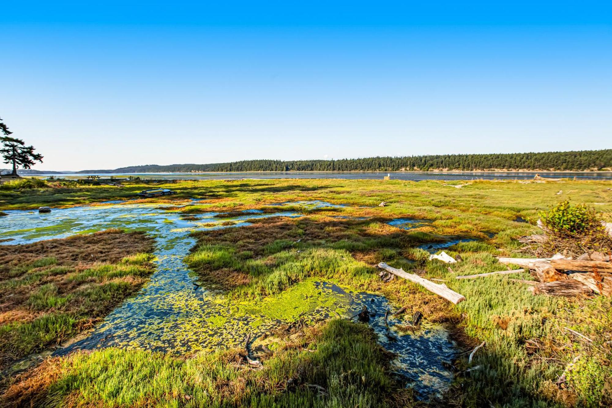 Marrowstone Island Beach Cabin Екстер'єр фото